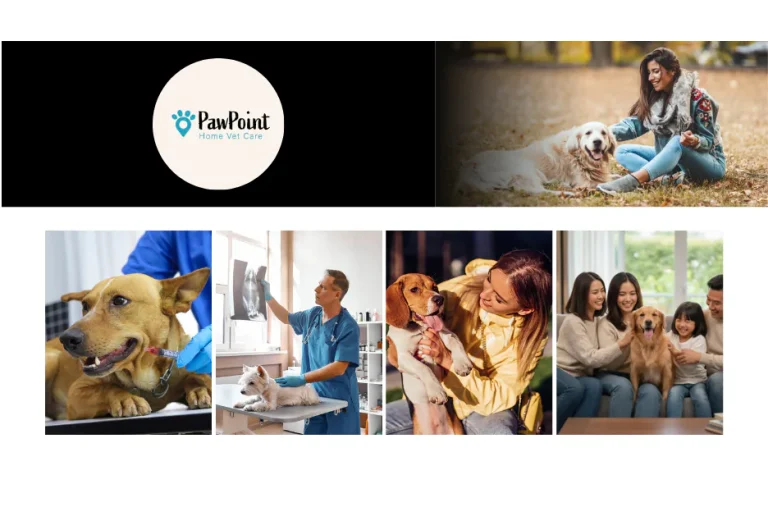 Compassionate In-Home Pet Euthanasia Calgary Services for Your Beloved Companion