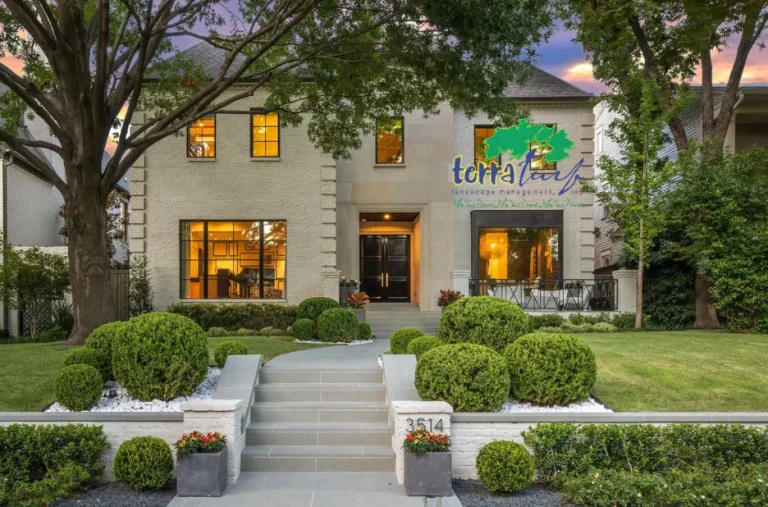 Top Sod Installation Company for Expert Lawn Transformation and Care