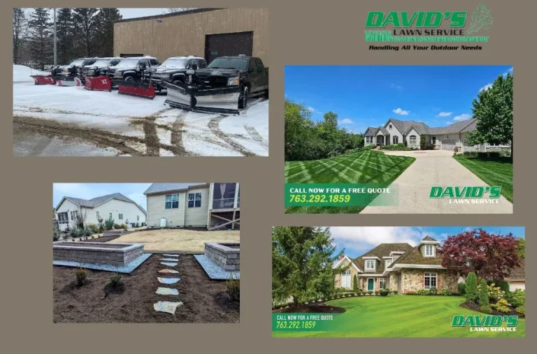 Expert Landscaping Medina MN Services for Beautiful Lawns and Gardens