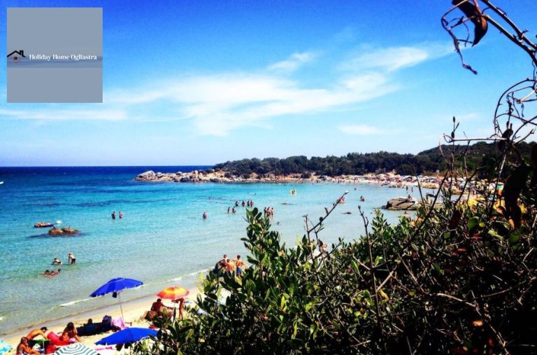 Guest House Ogliastra: La Tua Vacanza Perfetta con Holidayhomeogliastra.com