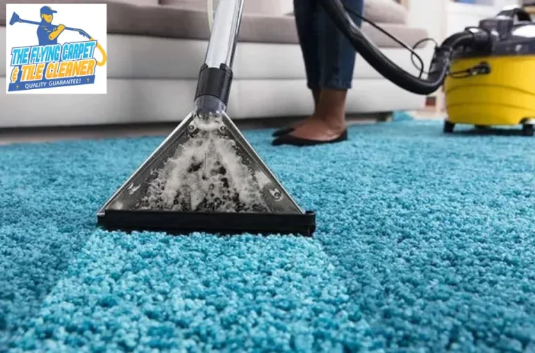 Services de Nettoyage de Carrelage à Perth – Experts Professionnels pour un Résultat Impeccable Services de Nettoyage de Carrelage à Perth – Experts Professionnels pour un Résultat Impeccable