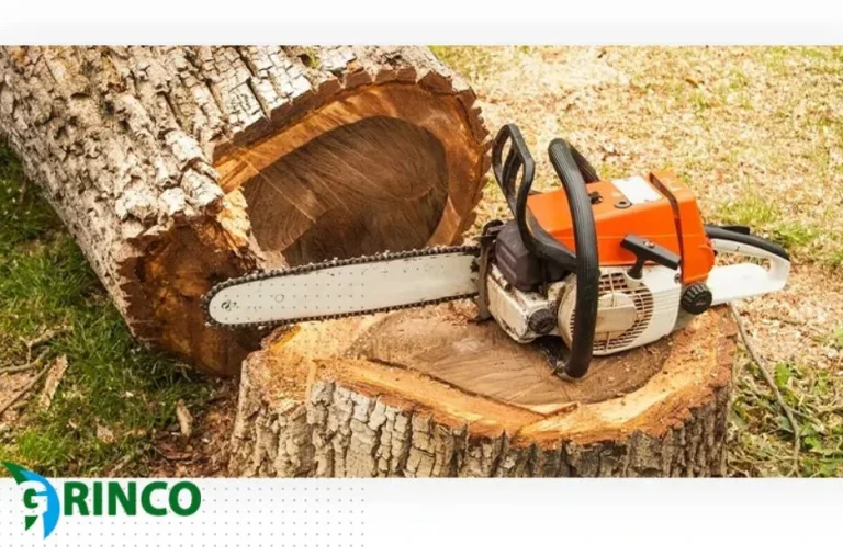 Expert Tree Removal Derrimut Services for Safe and Affordable Property Maintenance