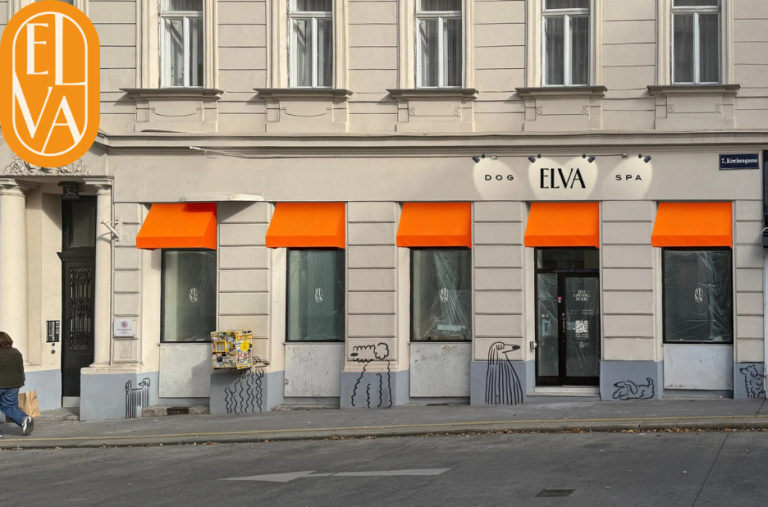 Hundesalon Termin Wien – Professionelle Hundepflege bequem online buchen