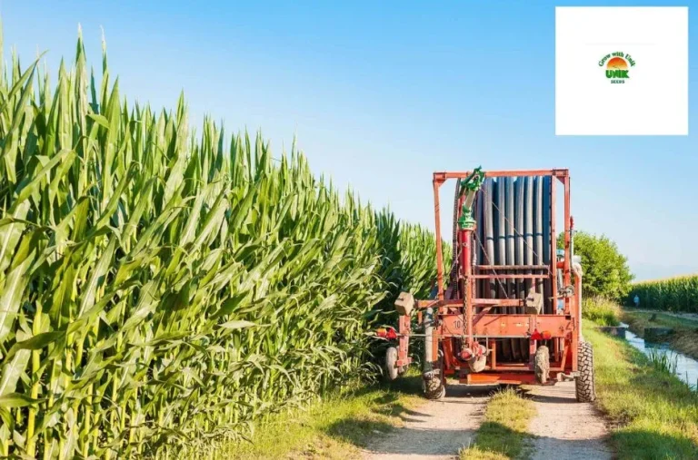 Top Sustainable Agriculture Products Online for Eco-Friendly Farming Solutions Top Sustainable Agriculture Products Online for Eco-Friendly Farming Solutions