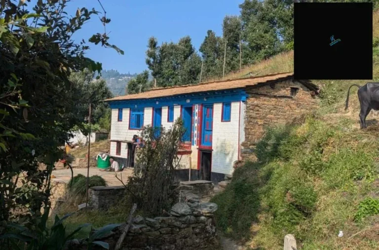 Ultimate Kumaon Hiking Tour Package for Adventure and Nature Enthusiasts