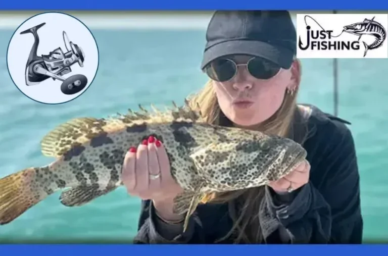 Top Quality Fishing Lures UAE for Effective and Reliable Angling Results