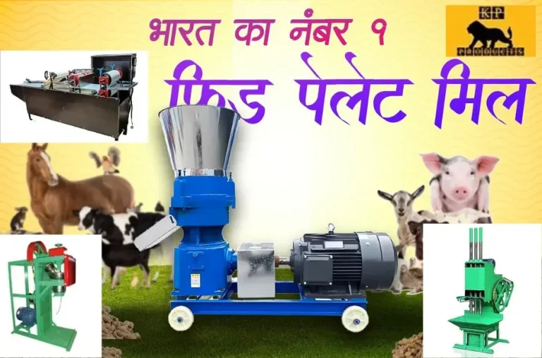 Boost Your Profits with a Reliable Papad Business Startup Machine for Efficient Production