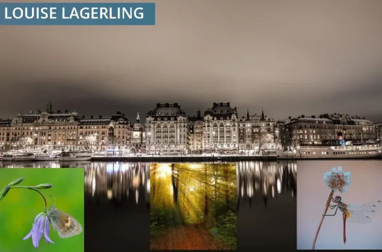 Psykolog relationer Stockholm – Professionell hjälp för starkare relationer