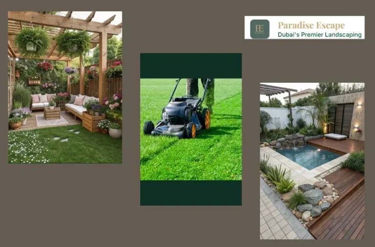 Expert Garden Landscaping in Dubai | Luxury Outdoor Design & Installation Services