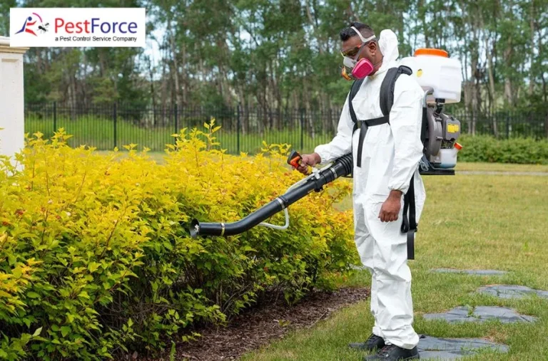 Top Pest Exterminator Calgary Services for Fast and Effective Infestation Control