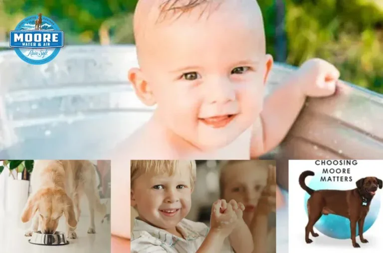 Rainsoft Water Treatment System Cost: Comprehensive Guide for 2024 Pricing and Benefits