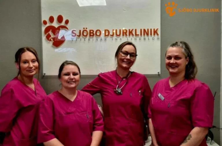 Professionell hund tandvård i Veberöd – Håll din hunds tänder friska och starka