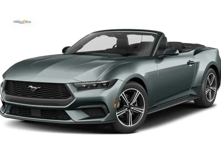 Easy SUV Rental St Maarten – Affordable, Spacious, and Reliable SUVs for Your Adventure