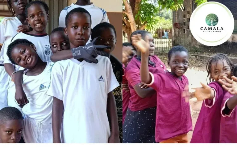 Top Nonprofit Education Organization Empowering Children Through Quality Learning Programs