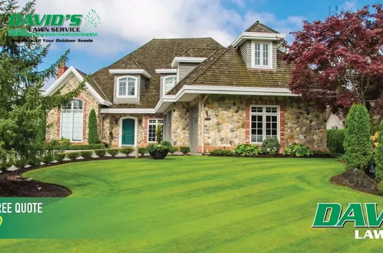 Professional Plymouth Snow Removal Services for Safe and Clear Properties