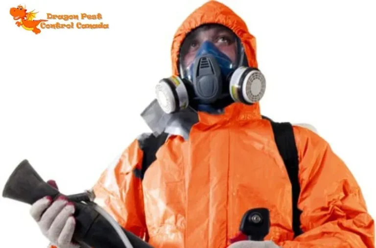 Effective Mosquito Control Edmonton Services for a Pest-Free Outdoor Space