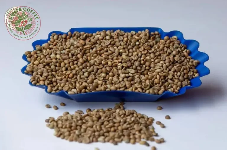 Robusta Coffee Screen 15 Grade: Premium Quality Beans for Bold Flavor and Consistent Roasting Robusta Coffee Screen 15 Grade: Premium Quality Beans for Bold Flavor and Consistent Roasting