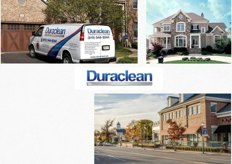 Top Carpet Cleaning Lovespark Services for a Spotless and Healthy Home