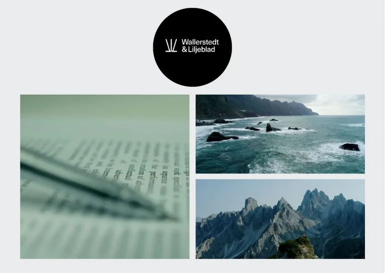 Land-för-land-rapportering: Så förbättrar transparens din företagsstrategi 2024