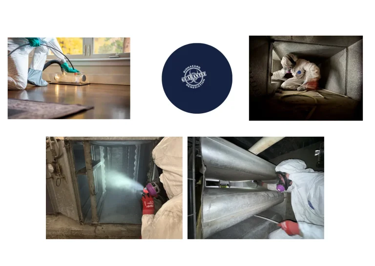 Expert Building Contamination Cleanup Oregon | Safe & Compliant Remediation Services