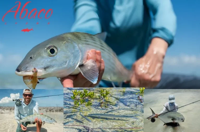 Ultimate Guide to Bonefishing in Bahamas for Unforgettable Fishing Adventures