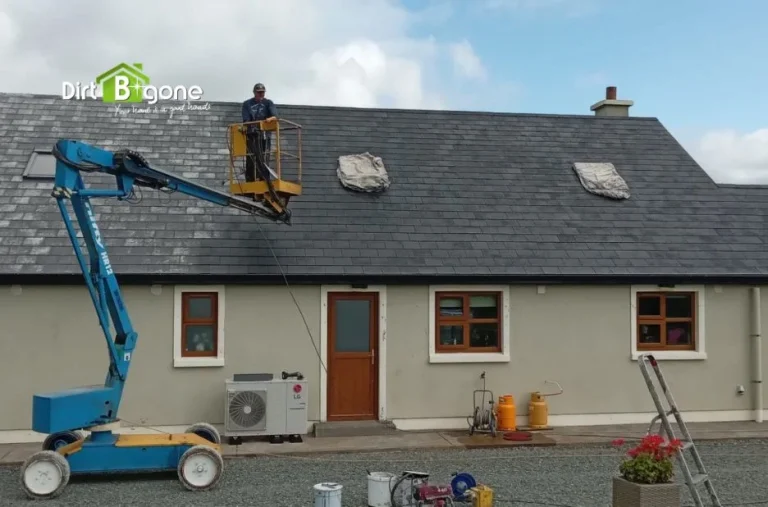 Professional Roof Painting Mayo Services for Enhanced Durability and Curb Appeal
