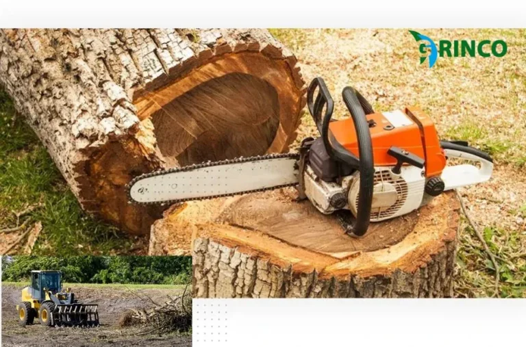 Effective Tree Mulching Techniques for Healthier Landscapes and Soil Enrichment