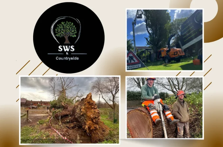 Expert Tree Maintenance Maidstone Services for Healthy and Safe Landscapes