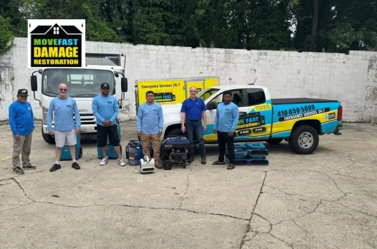 Certified Mold Specialists Towson for Safe and Effective Mold Removal Services