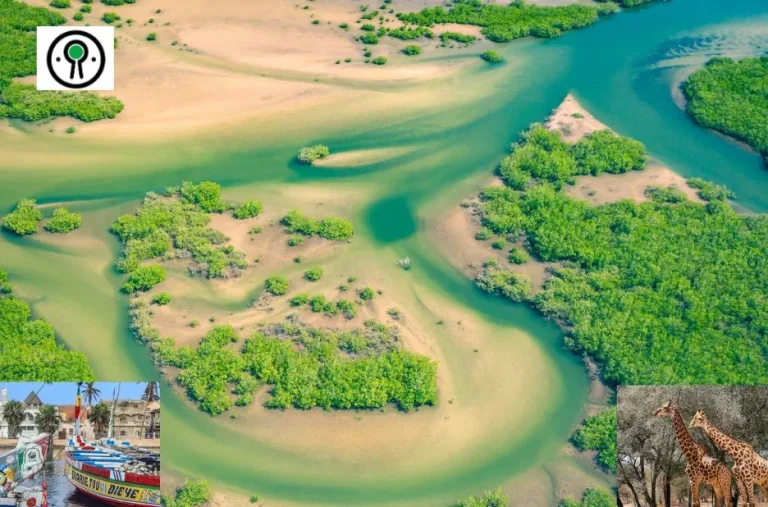 Conseils voyage Sénégal : Guide pratique pour un séjour réussi et authentique