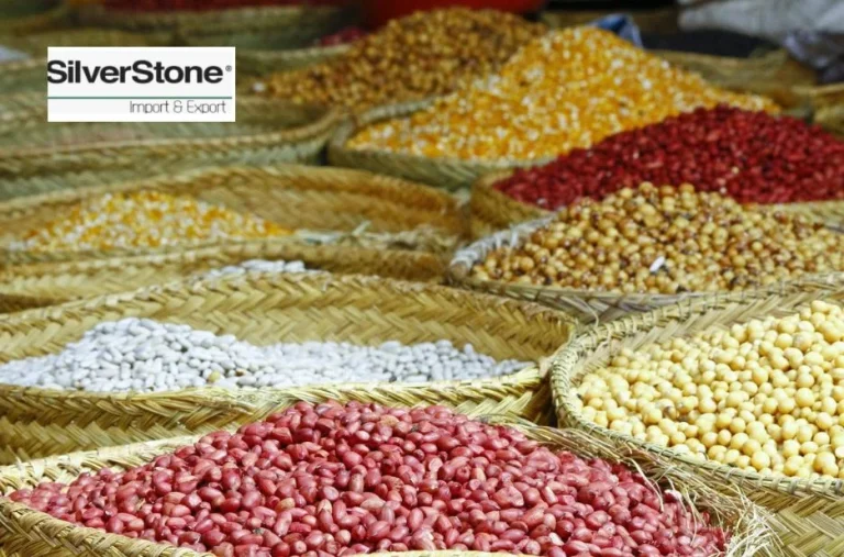 Top Raw Cashew Nuts Suppliers for Quality Bulk Supply and Reliable Sourcing Top Raw Cashew Nuts Suppliers for Quality Bulk Supply and Reliable Sourcing