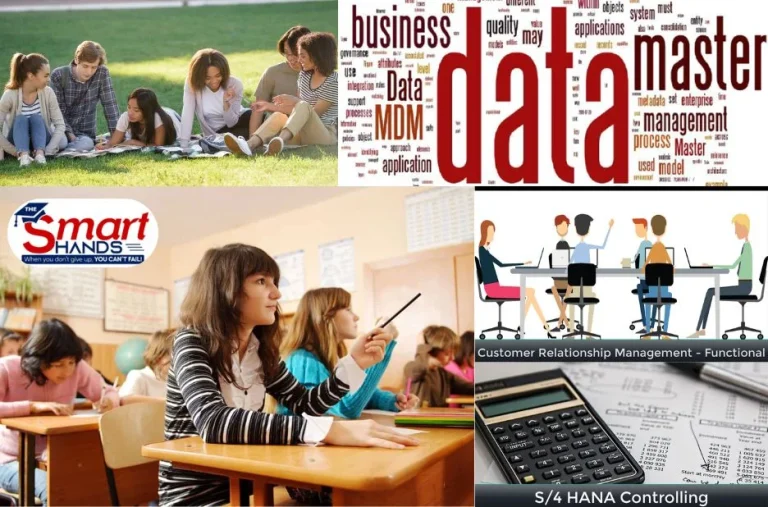 Comprehensive SAP Certificate Training for Career Advancement and Expert Mentorship