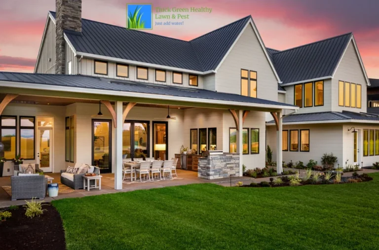 Expert Lawn Care Services in Converse TX for a Healthy, Vibrant Yard