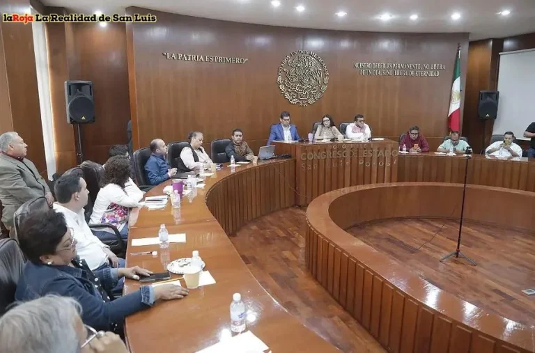 Los Mejores Periódicos Diarios de San Luis Potosí para Mantenerte Informado Los Mejores Periódicos Diarios de San Luis Potosí para Mantenerte Informado
