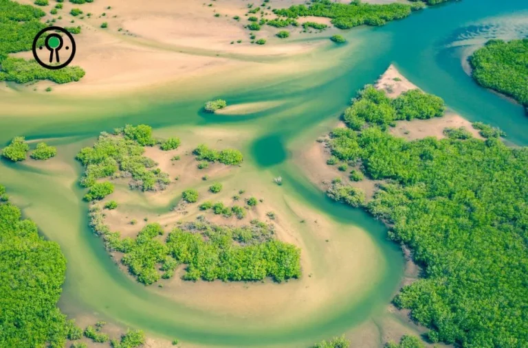 Offres voyage Sénégal : Découvrez des séjours authentiques et économiques pour une aventure unique