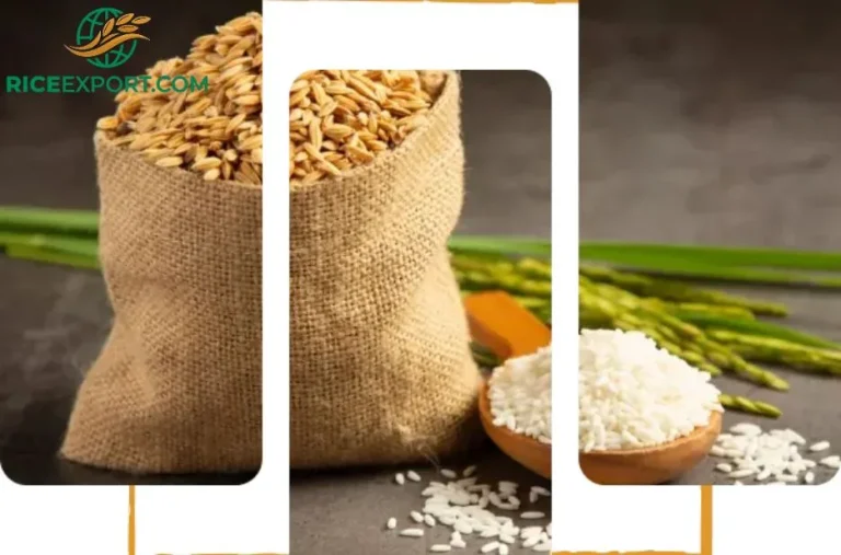 Affordable Rice CIF Lagos Port Price for Premium Quality Imports Affordable Rice CIF Lagos Port Price for Premium Quality Imports