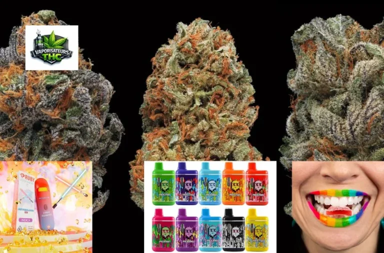 Muha Meds Jetable : Vaporisateurs Portables Innovants et Pratiques en France