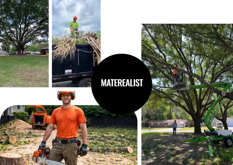 Expert Professional Tree Trimming Dothan Services for Healthier, Beautiful Trees Expert Professional Tree Trimming Dothan Services for Healthier, Beautiful Trees