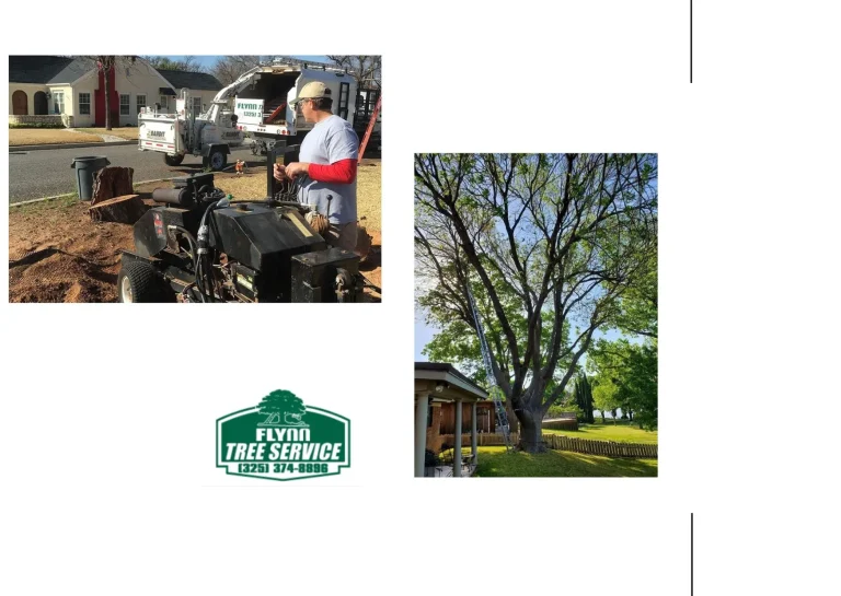 Effective Stump Grinding Services for a Cleaner, Safer Landscape Finish