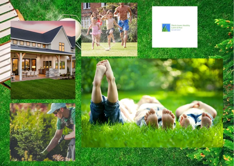 Expert Lawn Care Services in Converse TX for a Lush, Healthy Yard