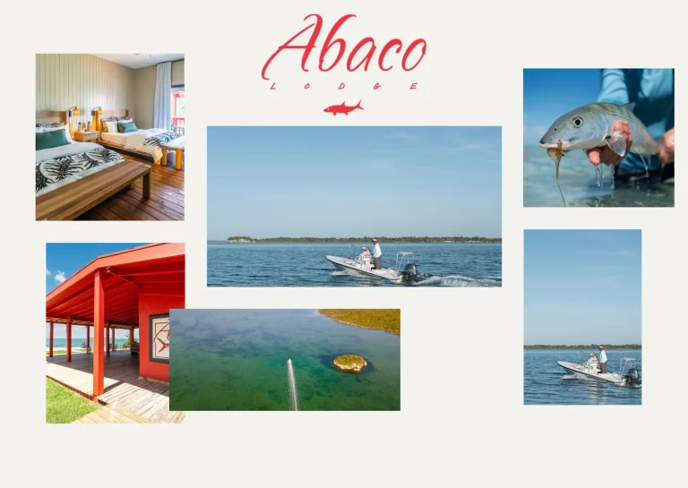 Expert Guide to Bonefishing in Abaco for Anglers and Fishing Trips