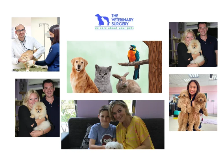 Trusted Emergency Vet Qatar Services for Immediate Pet Care and Support