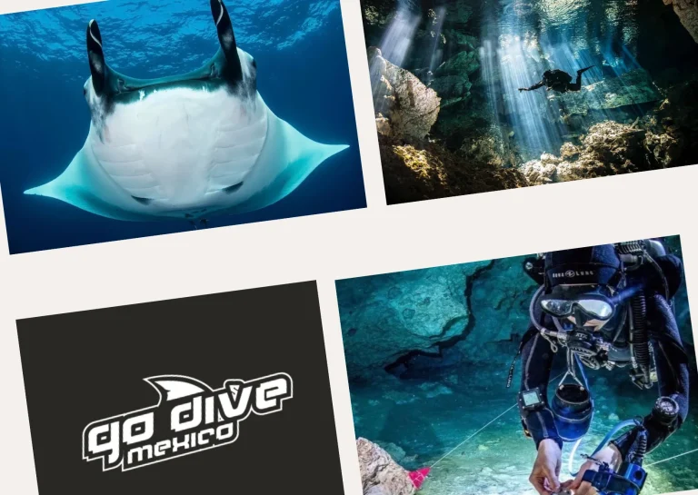 Explore the Thrilling World of Cave Diving with Expert Guides and Top Equipment