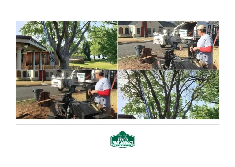 Effective Deep Root Fertilization Techniques to Promote Stronger, Healthier Trees