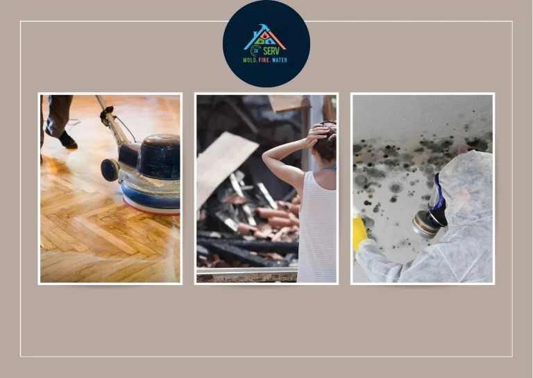 Expert Mold Removal Long Island Services for Safe and Effective Mold Prevention Expert Mold Removal Long Island Services for Safe and Effective Mold Prevention
