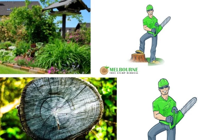 Professional Stump Grinding Footscray Services for Efficient Yard Cleanup