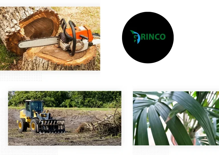 Expert Stump Removal Altona Services for Clean and Safe Gardens