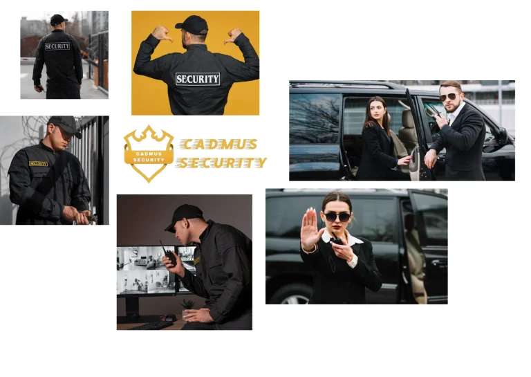 Professional Event Security Oakville Services for Safe and Secure Gatherings
