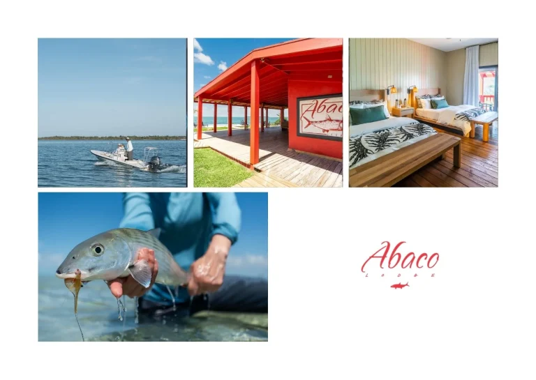 Best Bonefish Lodges in Bahamas for Ultimate Fishing and Luxury Experience