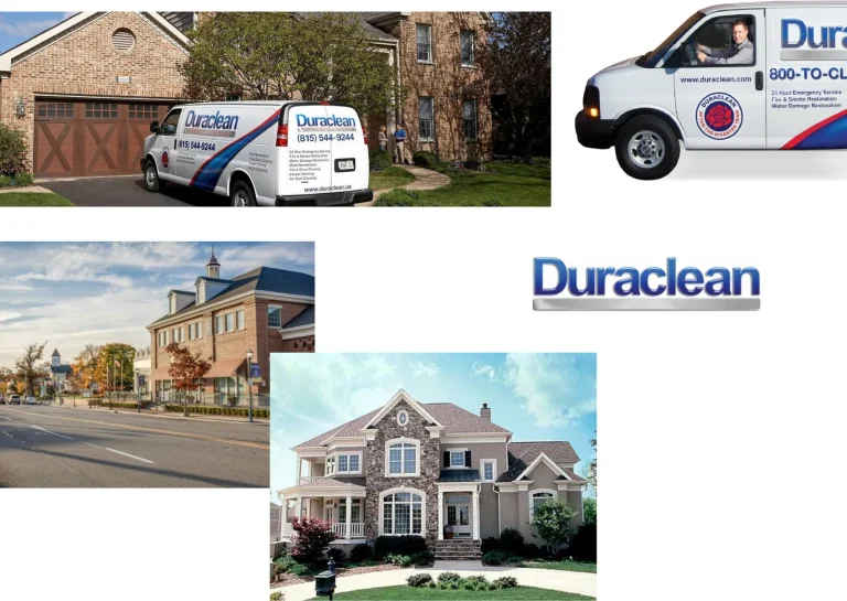 Expert Carpet Cleaning Lovespark Services for a Fresh and Healthy Home Environment Expert Carpet Cleaning Lovespark Services for a Fresh and Healthy Home Environment